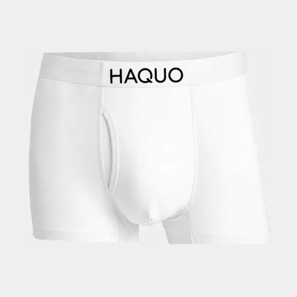 HAQUO Ice Fabric Boxer
